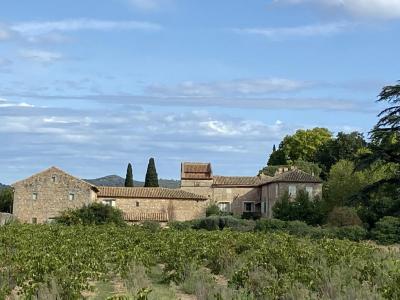 For sale Orsan 8 rooms 370 m2 Gard (30200) photo 0