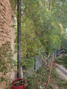 Acheter Maison Venejan 297000 euros