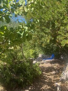 Acheter Maison Vercoiran 242000 euros