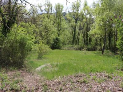 Annonce Vente Terrain Buis-les-baronnies 26