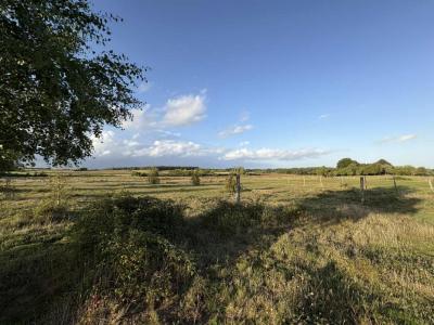 Annonce Vente Terrain Valencay 36