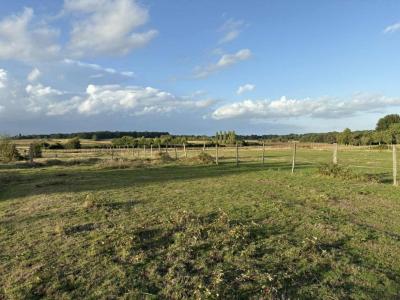 Acheter Terrain 28655 m2 Valencay