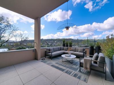 Acheter Appartement Vienne Isere