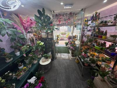Acheter Local commercial 52 m2 Cagnes-sur-mer