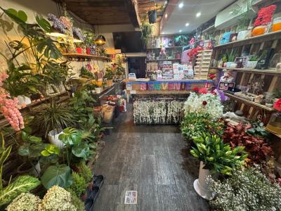 Acheter Local commercial Cagnes-sur-mer Alpes Maritimes