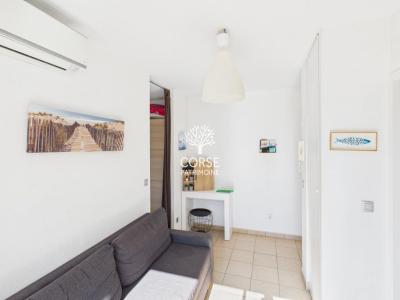 For rent Porto-vecchio 1 room 26 m2 Corse (20137) photo 0