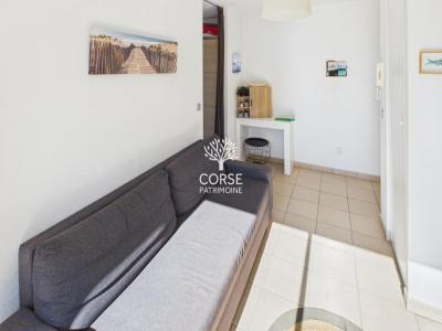 Annonce Location Appartement Porto-vecchio 20