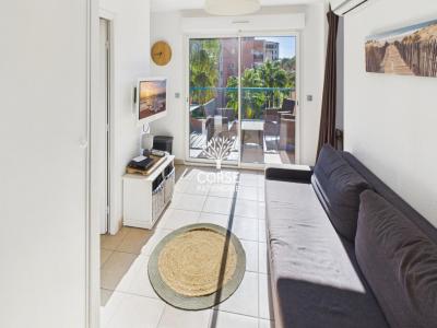 Louer Appartement Porto-vecchio Corse