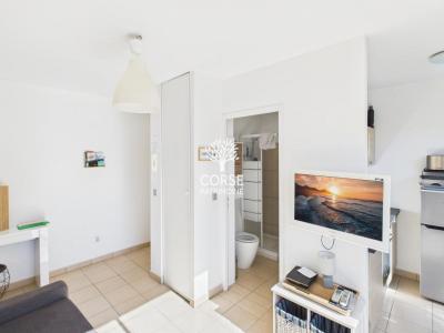 Louer Appartement Porto-vecchio 750 euros