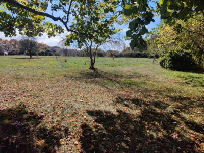 For sale Cenac 4 rooms 80 m2 Gironde (33360) photo 3