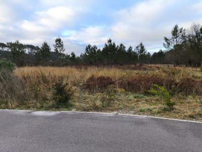 For sale Parentis-en-born 4 rooms 116 m2 Landes (40160) photo 2