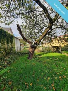 Acheter Maison Boofzheim Bas rhin