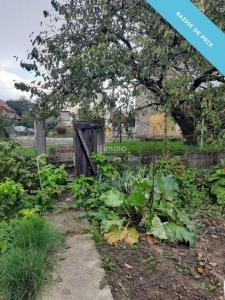 Acheter Maison Boofzheim 298000 euros