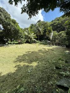 Acheter Terrain Trois-ilets Martinique