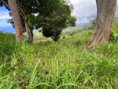 For sale Morne-vert 10800 m2 Martinique (97226) photo 0