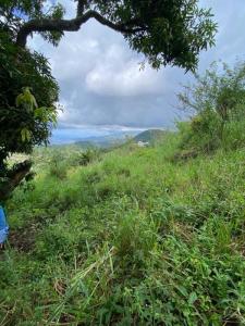 For sale Morne-vert 10800 m2 Martinique (97226) photo 1