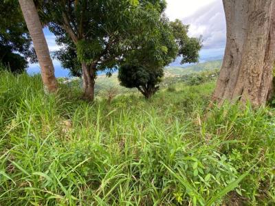 For sale Morne-vert 10800 m2 Martinique (97226) photo 2