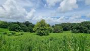 For sale Land Riviere-pilote  500 m2