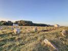 For sale Land Carnac  1300 m2