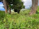 For sale Land Morne-vert  10800 m2