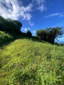 For sale Morne-vert 7000 m2 Martinique (97226) photo 1