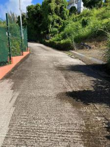 For sale Morne-vert 7000 m2 Martinique (97226) photo 2