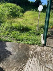 For sale Morne-vert 7000 m2 Martinique (97226) photo 3