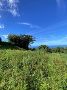 For sale Morne-vert 7000 m2 Martinique (97226) photo 4