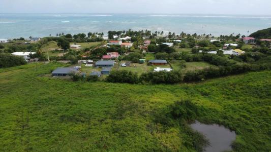 Annonce Vente Terrain Vauclin 972