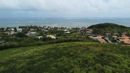 Acheter Terrain Vauclin Martinique