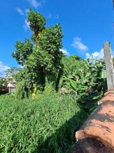 Annonce Vente Terrain Fort-de-france 972