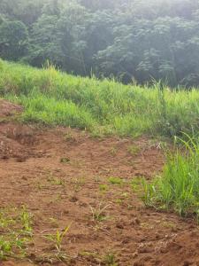 Acheter Terrain Lamentin