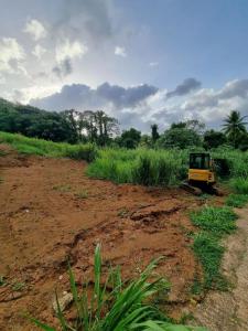 Acheter Terrain Lamentin Martinique
