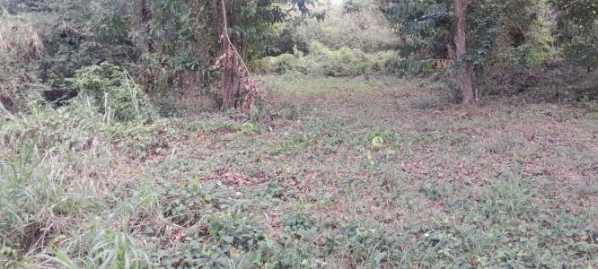 For sale Case-pilote 776 m2 Martinique (97222) photo 1