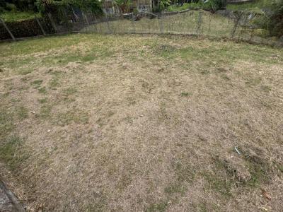 Annonce Vente Terrain Vauclin 972