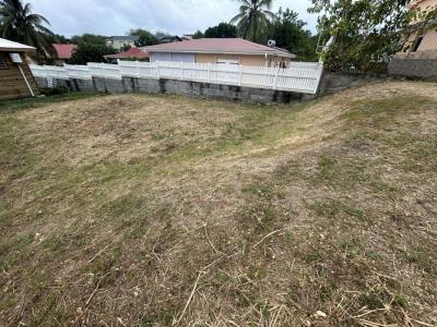 Acheter Terrain Vauclin Martinique