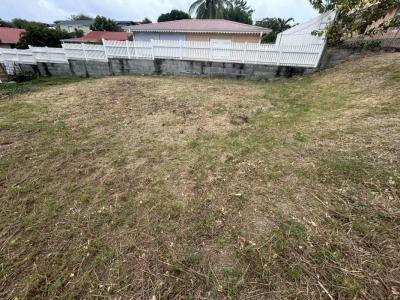 Acheter Terrain Vauclin 88990 euros