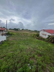 Annonce Vente Terrain Vauclin 972