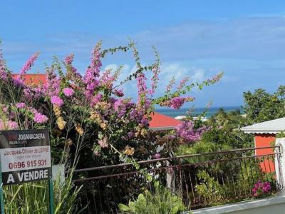 Acheter Terrain Vauclin Martinique