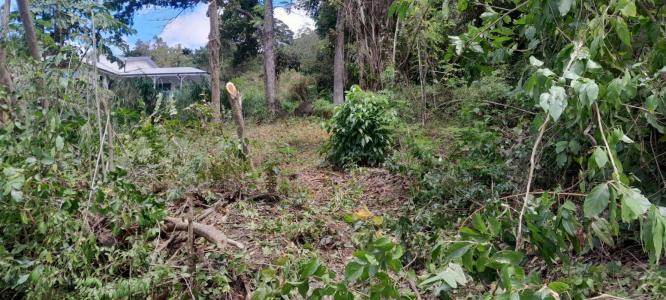 For sale Case-pilote 696 m2 Martinique (97222) photo 2