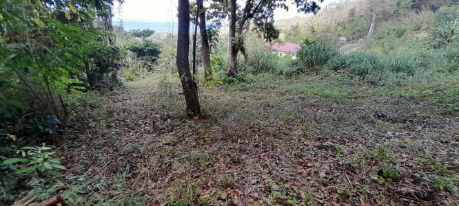 For sale Case-pilote 696 m2 Martinique (97222) photo 3