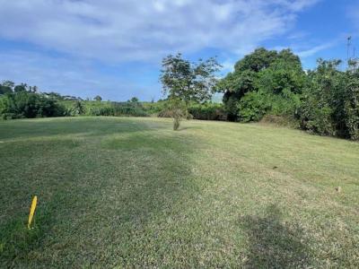 Acheter Terrain Lamentin Martinique