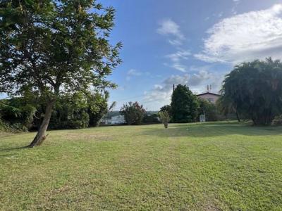 Acheter Terrain Lamentin 299000 euros