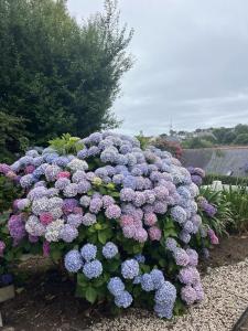 For sale 3 rooms 64 m2 Finistere (29770) photo 4