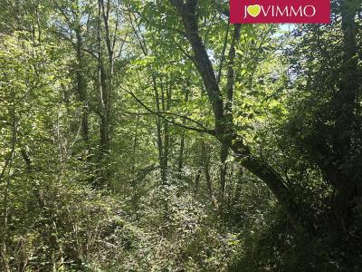 Annonce Vente Terrain Antist 65