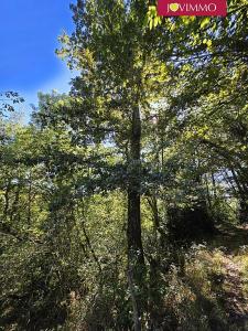 Acheter Terrain Antist Hautes pyrenees