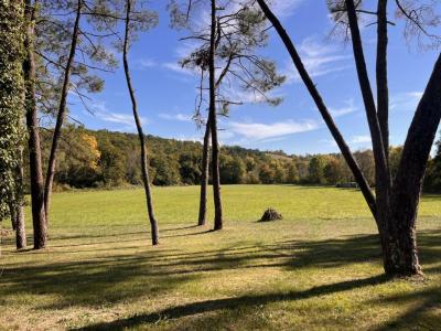Acheter Prestige 251 m2 Saint-nexans
