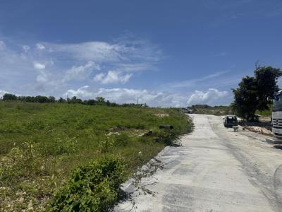 Acheter Terrain Petit-canal 135900 euros