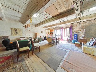 Acheter Maison 516 m2 Bize-minervois