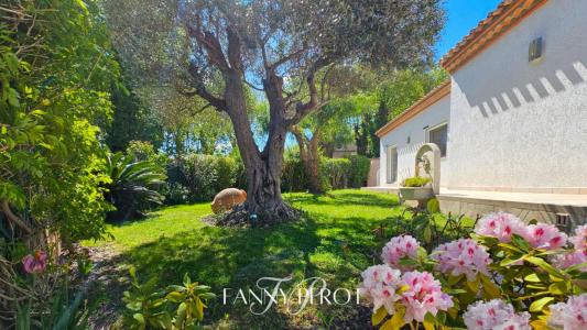 Acheter Maison 194 m2 Saint-cyprien